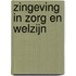 Zingeving in zorg en welzijn