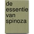De essentie van Spinoza