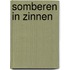 Somberen in Zinnen