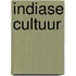 Indiase cultuur