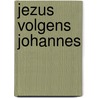Jezus volgens Johannes door Lieuwe van Kampen