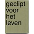 Geclipt voor het leven