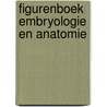 Figurenboek embryologie en anatomie door Katharina D'Herde