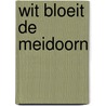 Wit bloeit de meidoorn door Maeve Binchy