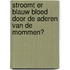 Stroomt er blauw bloed door de aderen van de mommen?