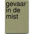 Gevaar in de mist