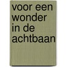 Voor een wonder in de achtbaan by Marijke Maas