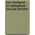 Een werkend en betaalbaar sociaal domein