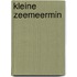 Kleine Zeemeermin