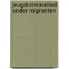Jeugdcriminaliteit onder migranten door Renske van der Gaag