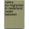 Cijfers EU-migranten in Nederland nader bekeken door Meintje van Dijk