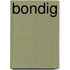 Bondig