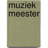 Muziek Meester by Rinze van der Lei