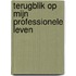 Terugblik op mijn professionele leven