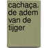 Cachaça. De adem van de tijger
