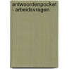Antwoordenpocket - arbeidsvragen door Saskia Lombaerts