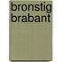 Bronstig Brabant