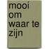 Mooi om waar te zijn