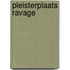 Pleisterplaats ravage