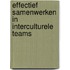 Effectief samenwerken in interculturele teams