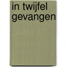 In twijfel gevangen door Hanny van de Steeg-Stolk