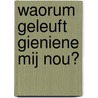 Waorum geleuft gieniene mij nou? by Roelie de Weerd