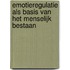 Emotieregulatie als basis van het menselijk bestaan