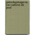 Geloofsgetuigenis van Salomo de Jood