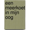 Een meerkoet in mijn oog door Henk Wolf