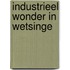 Industrieel wonder in Wetsinge