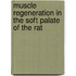 Muscle regeneration in the soft palate of the rat