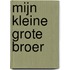 Mijn kleine grote broer