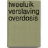 Tweeluik verslaving overdosis