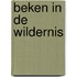 Beken in de wildernis