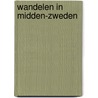 Wandelen in Midden-Zweden door Paul van Bodengraven