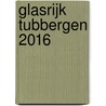 Glasrijk Tubbergen 2016 by Piet Augustijn