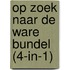 Op zoek naar de ware bundel (4-in-1)