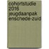 Cohortstudie 2016 jeugdaanpak Enschede-Zuid