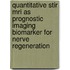 Quantitative STIR MRI as prognostic imaging biomarker for nerve regeneration