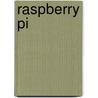 Raspberry pi by Bert van Dam