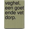 Veghel, een goet ende vet Dorp. by Martien van Asseldonk