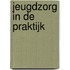 Jeugdzorg in de praktijk