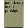Jeugdzorg in de praktijk by Marjolijn de Vries