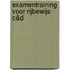 Examentraining voor rijbewijs C&D