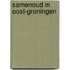 SamenOud in Oost-Groningen
