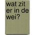 Wat zit er in de wei?