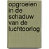 Opgroeien in de schaduw van de luchtoorlog