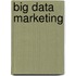 Big data marketing
