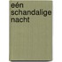 Eén schandalige nacht