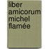 Liber amicorum Michel Flamée